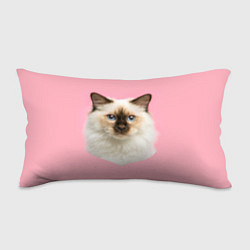 Подушка-антистресс Пушистый кот, цвет: 3D-принт
