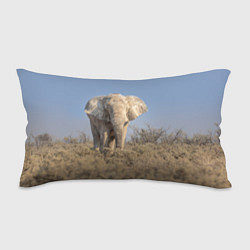 Подушка-антистресс Африканский белый слон, цвет: 3D-принт