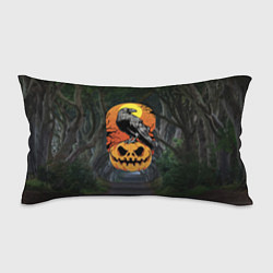 Подушка-антистресс Ворон, сидящий на тыкве - Halloween