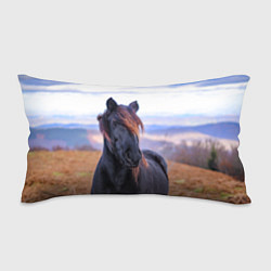 Подушка-антистресс Черный конь, цвет: 3D-принт