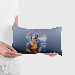 Подушка-антистресс Кролик в китайском халате, цвет: 3D-принт — фото 2