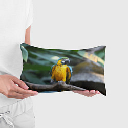 Подушка-антистресс Красавец попугай, цвет: 3D-принт — фото 2