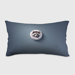 Подушка-антистресс Мордочка маленького енота, цвет: 3D-принт