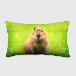 Подушка-антистресс Capybara on green grass