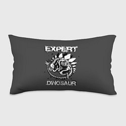 Подушка-антистресс Dinosaur expert, цвет: 3D-принт