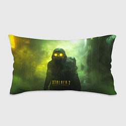 Подушка-антистресс Stalker 2 ядовитый дым