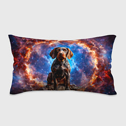 Подушка-антистресс Дратхаар в космосе