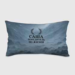 Подушка-антистресс Саша - победитель по жизни