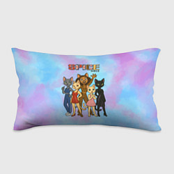 Подушка-антистресс Spice girls кошки из 90х