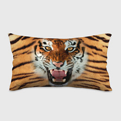 Подушка-антистресс Взгляд тигра, цвет: 3D-принт