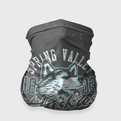 Бандана Team t-shirt 5