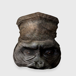 Бандана-труба Глаза гориллы, цвет: 3D-принт