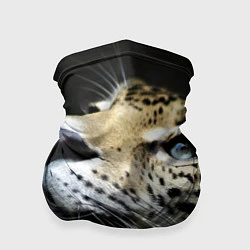 Бандана-труба Хищный леопард, цвет: 3D-принт