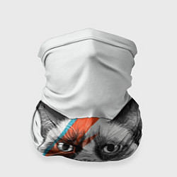 Бандана David Bowie: Grumpy cat