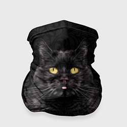Бандана Чёрный котик