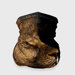 Бандана-труба Песчаный лев, цвет: 3D-принт