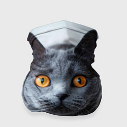 Бандана-труба Кис-Кис, цвет: 3D-принт