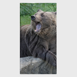 Бандана-труба Медведь, цвет: 3D-принт — фото 2