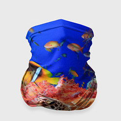 Бандана-труба Морская черепаха, цвет: 3D-принт
