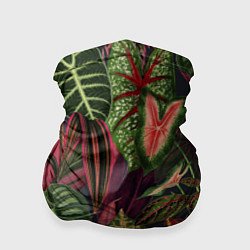 Бандана-труба Красные Тропики, цвет: 3D-принт