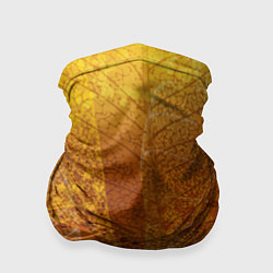 Бандана-труба Осенний узор, цвет: 3D-принт
