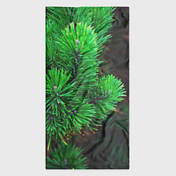 Бандана-труба Зелёный лес России, цвет: 3D-принт — фото 2