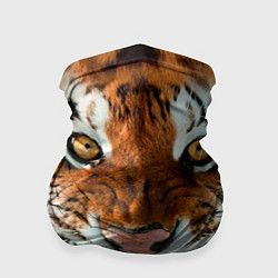 Бандана Взгляд тигра