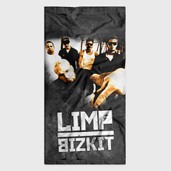 Бандана-труба Limp Bizkit: Rock in to you, цвет: 3D-принт — фото 2