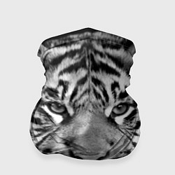 Бандана-труба Красавец тигр, цвет: 3D-принт