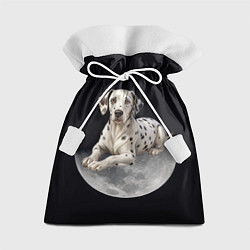 Мешок для подарков Далматин и луна, цвет: 3D-принт