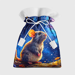 Мешок для подарков Крыса и космическое небо, цвет: 3D-принт