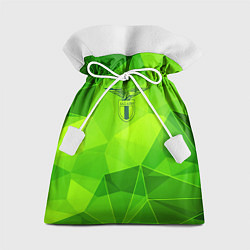 Мешок для подарков Lazio green poly, цвет: 3D-принт