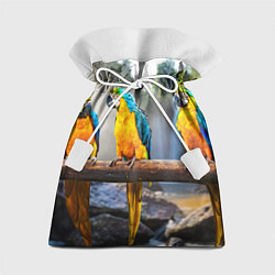 Мешок для подарков Экзотические попугаи, цвет: 3D-принт