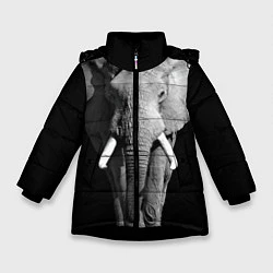 Куртка зимняя для девочки Старый слон, цвет: 3D-черный