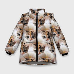 Куртка зимняя для девочки Маленький котенок паттерн, цвет: 3D-светло-серый
