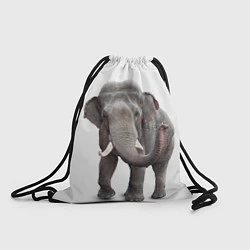 Мешок для обуви Большой слон
