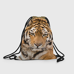 Рюкзак-мешок Милый тигр, цвет: 3D-принт