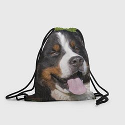 Рюкзак-мешок Бернский зенненхунд, цвет: 3D-принт