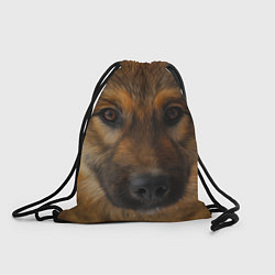 Рюкзак-мешок Взгляд собаки, цвет: 3D-принт