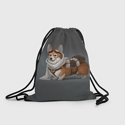 Рюкзак-мешок КОРГИ ПИЛОТ, цвет: 3D-принт