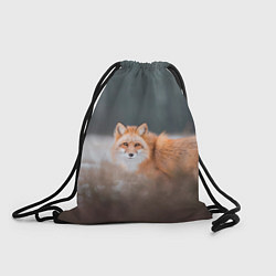 Рюкзак-мешок Лиса, цвет: 3D-принт