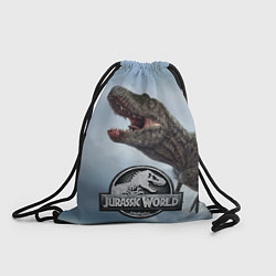 Рюкзак-мешок Jurassic World Мир Юрского периода Z, цвет: 3D-принт
