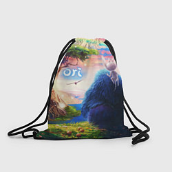 Рюкзак-мешок Ори и Блуждающие огоньки Ori, цвет: 3D-принт