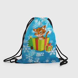 Рюкзак-мешок Тигр в подарочной коробке, цвет: 3D-принт