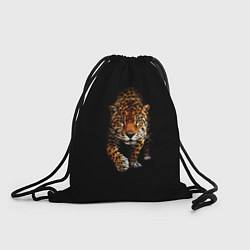 Рюкзак-мешок Big Cat Leo, цвет: 3D-принт