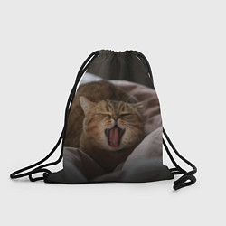 Рюкзак-мешок Эх, поспать бы! Зевающий котяра, цвет: 3D-принт
