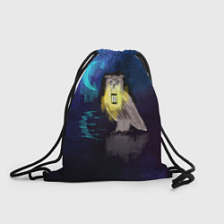 Рюкзак-мешок Сова с фонарем на фоне ночи, цвет: 3D-принт