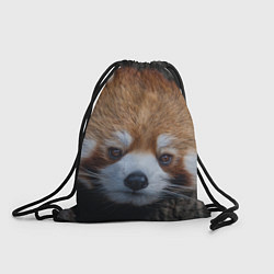 Рюкзак-мешок Крaсная панда, цвет: 3D-принт