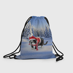 Рюкзак-мешок Ряженый котик в зимнем лесу, цвет: 3D-принт