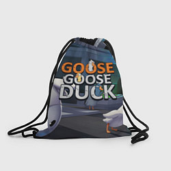 Мешок для обуви Goose Goose Duck Space